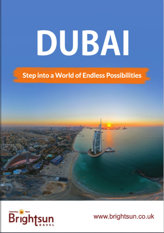 Dubai MINI Guide